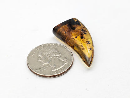 Amber authentic cabochon large