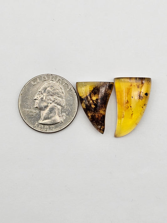 Amber authentic cabochon set large