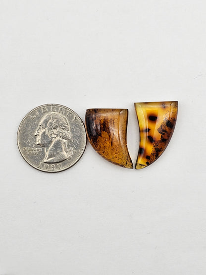 Amber authentic cabochon set large