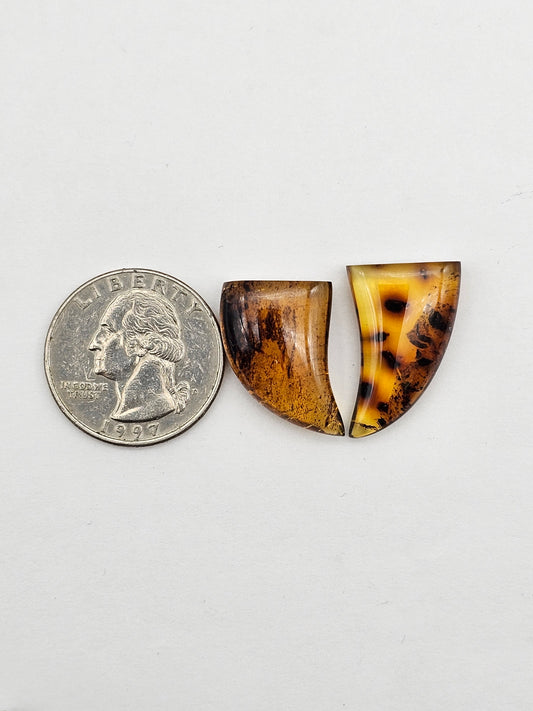 Amber authentic cabochon set large