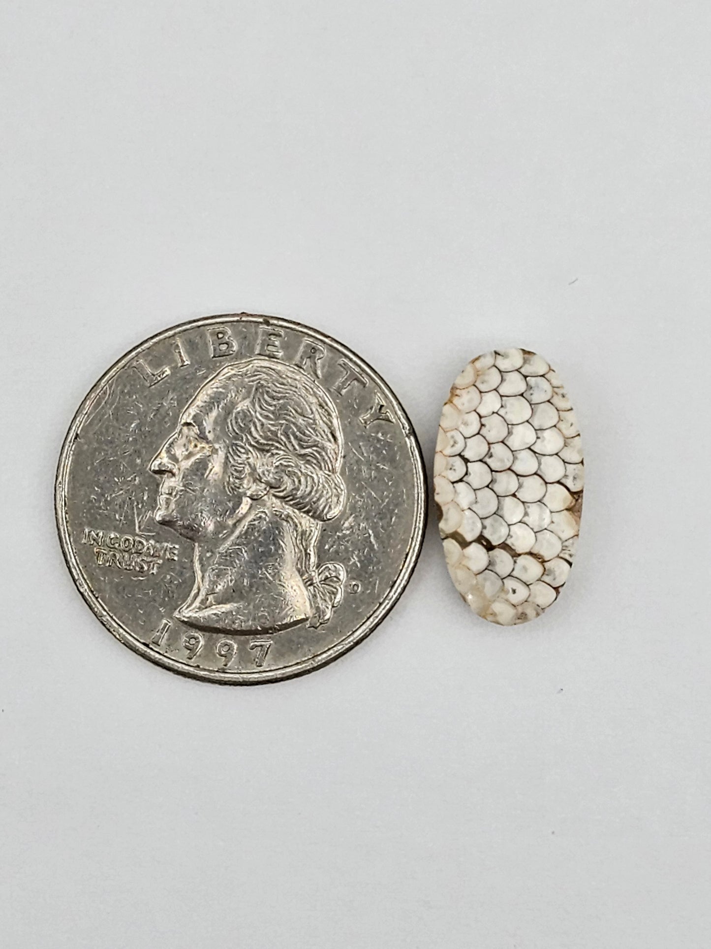 Snake skin agate cabochon