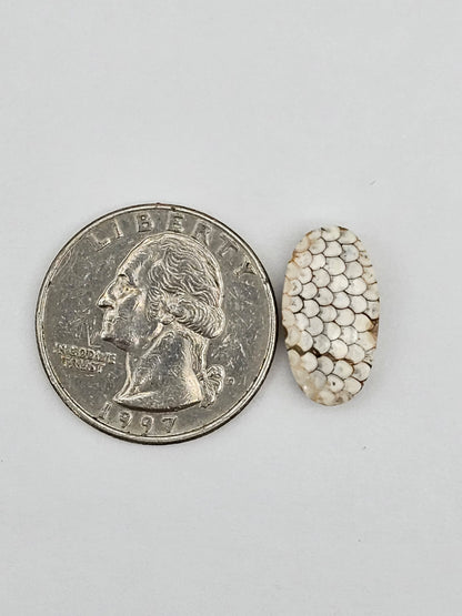 Snake skin agate cabochon