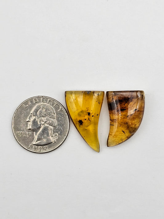 Amber authentic cabochon set large