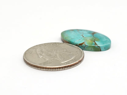 Cloud mountain Turquoise