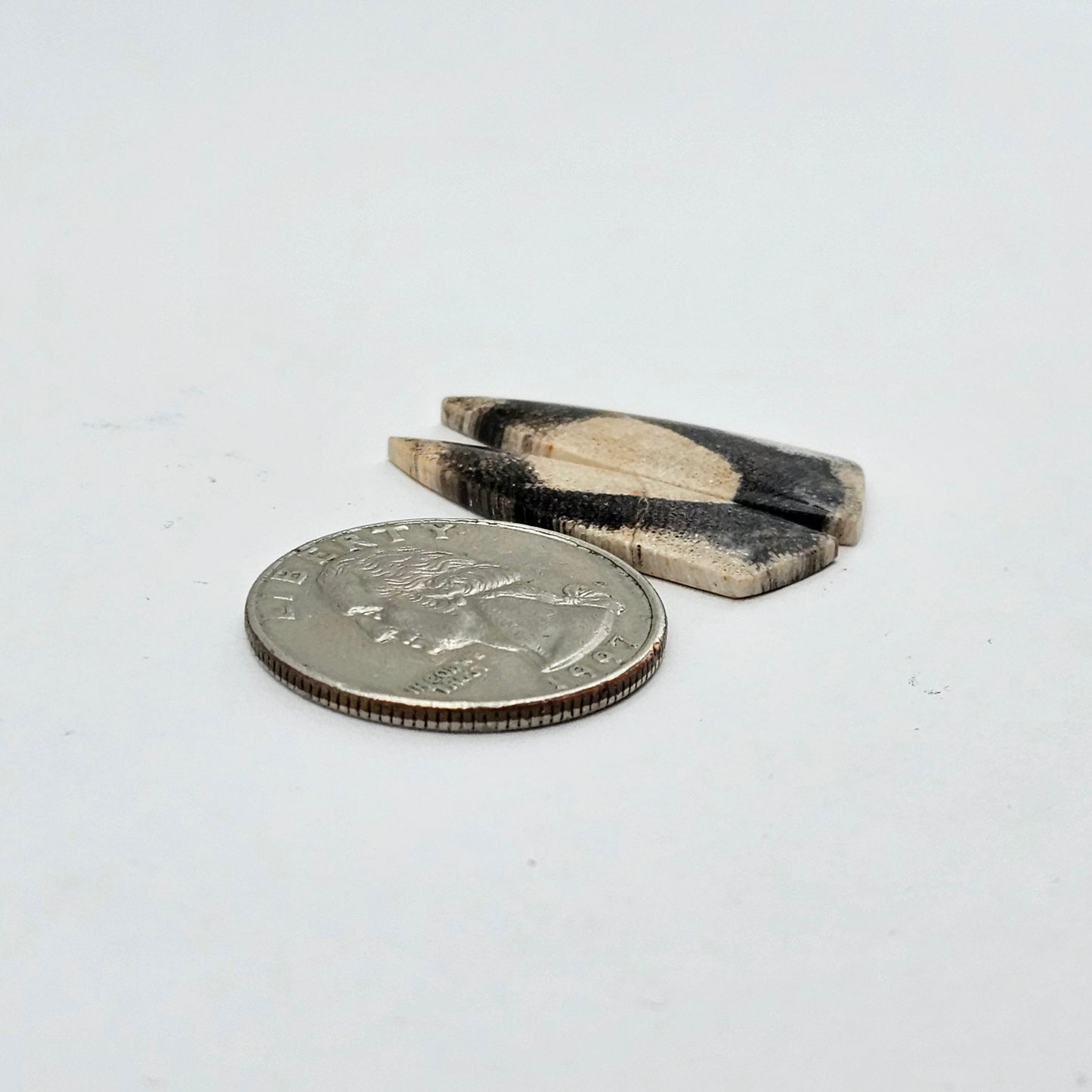 Dino Bone agate cabochon pair