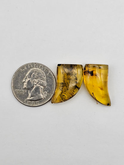 Amber authentic cabochon set large