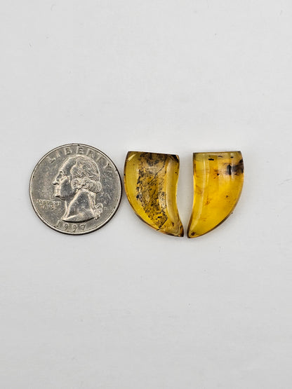 Amber authentic cabochon set large