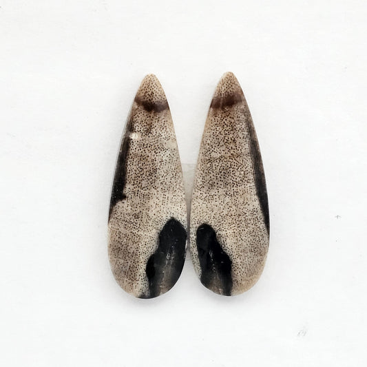 Dino Bone agate cabochon pair