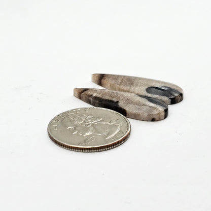 Dino Bone agate cabochon pair