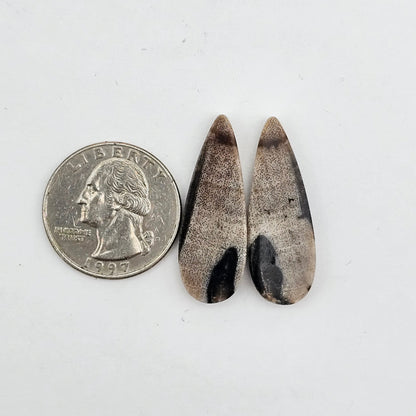 Dino Bone agate cabochon pair