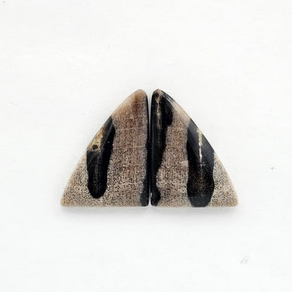 Dino Bone agate cabochon pair