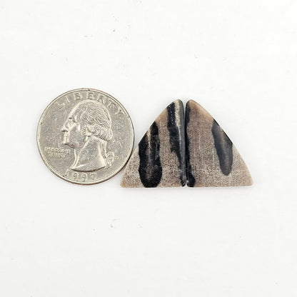 Dino Bone agate cabochon pair