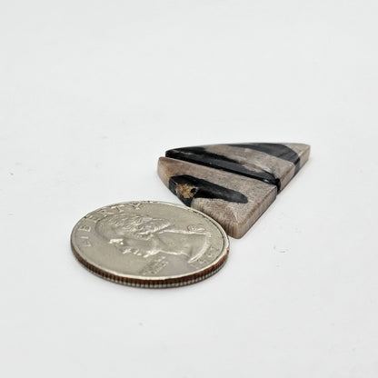 Dino Bone agate cabochon pair