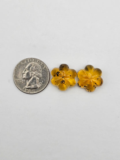 Amber authentic flower cabochon pair large