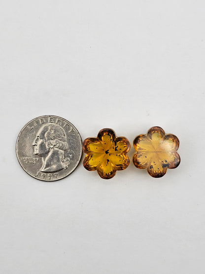 Amber authentic flower cabochon pair large