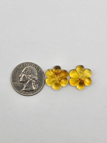 Amber authentic flower cabochon pair large