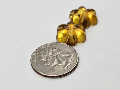 Amber authentic flower cabochon pair large
