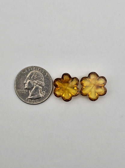 Amber authentic flower cabochon pair large