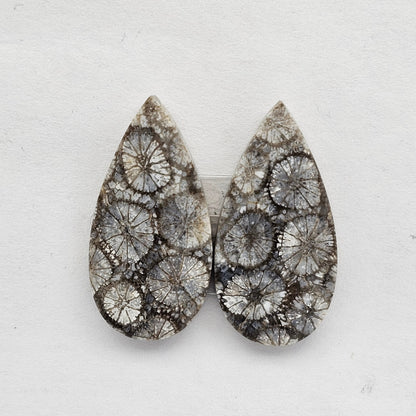 Fossilized Coral agate pair