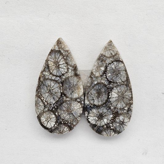 Fossilized Coral agate pair