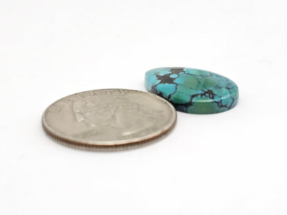 Cloud mountain Turquoise