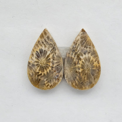 Fossilized Coral agate pair
