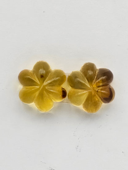 Amber authentic flower cabochon pair large