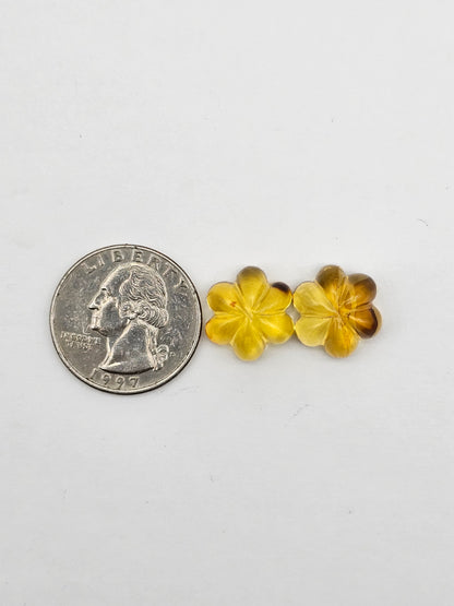 Amber authentic flower cabochon pair large