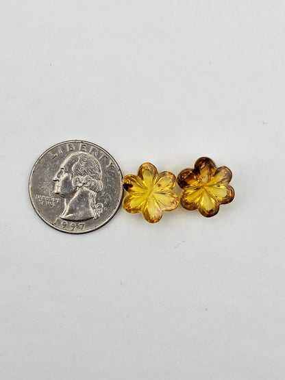 Amber authentic flower cabochon pair large