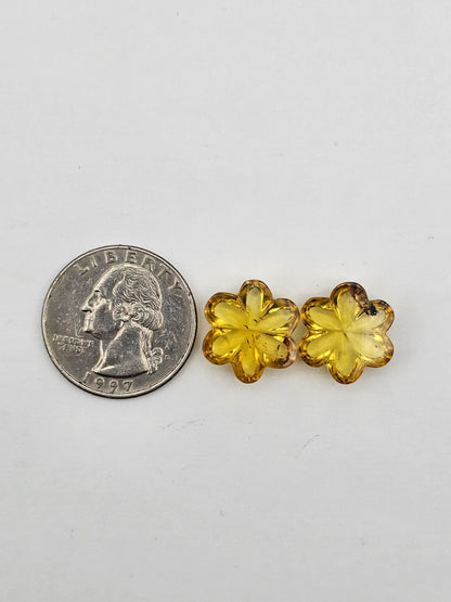 Amber authentic flower cabochon pair large