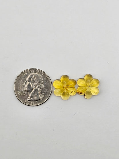 Amber authentic flower cabochon pair large