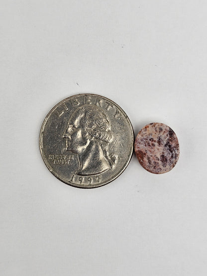 Mexican Cantera Opal Cabochon