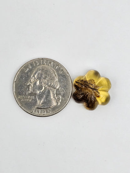Amber authentic flower cabochon large