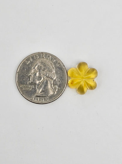 Amber authentic flower cabochon large