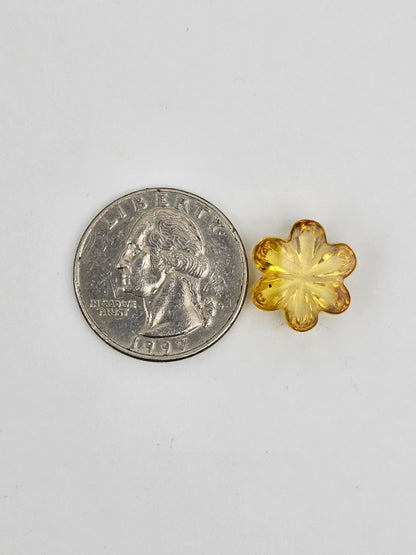 Amber authentic flower cabochon large