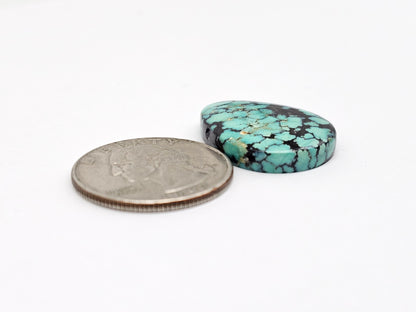 Cloud mountain Turquoise
