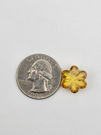 Amber authentic flower cabochon large