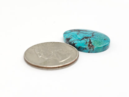 Cloud mountain Turquoise
