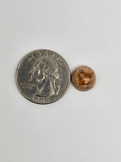 Mexican Cantera Opal Cabochon