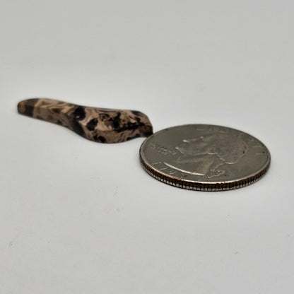 Petrified Palm Root Bird Cabochon