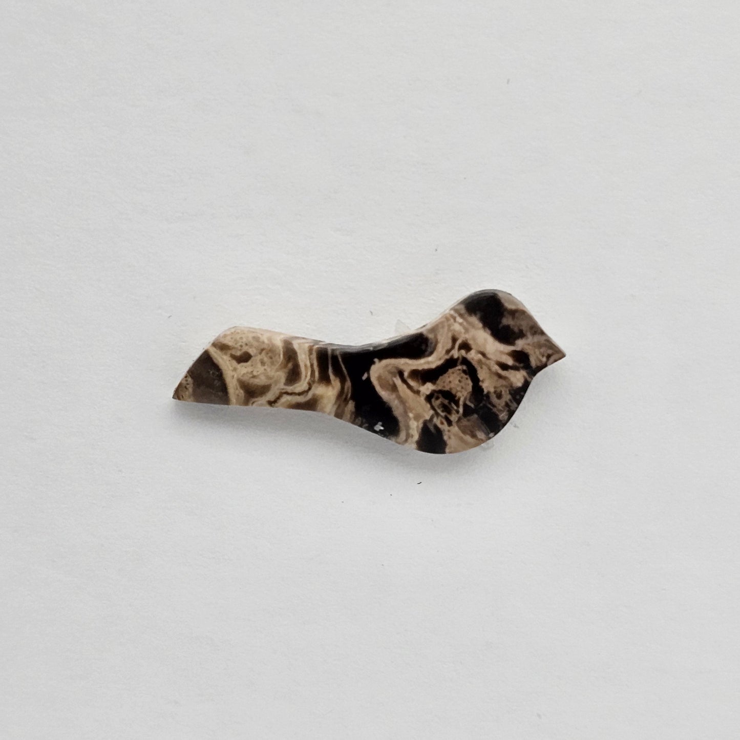 Petrified Palm Root Bird Cabochon