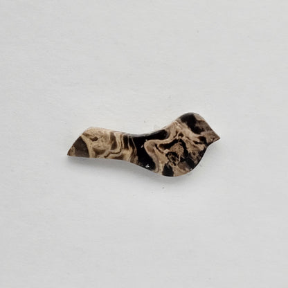 Petrified Palm Root Bird Cabochon