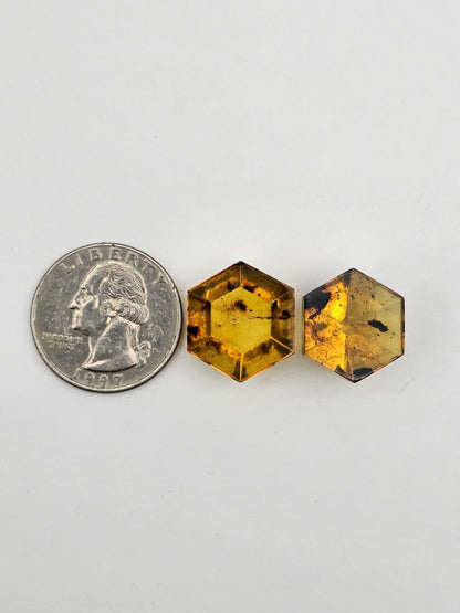 Amber authentic cabochon set large