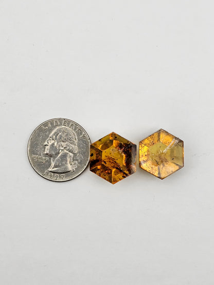 Amber authentic cabochon set large