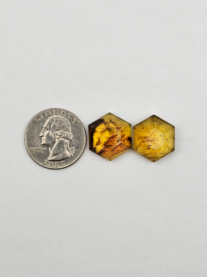 Amber authentic cabochon set large