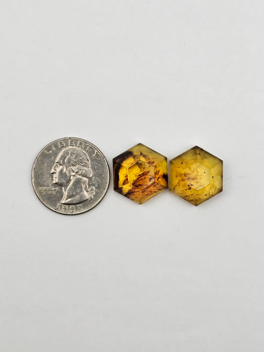 Amber authentic cabochon set large
