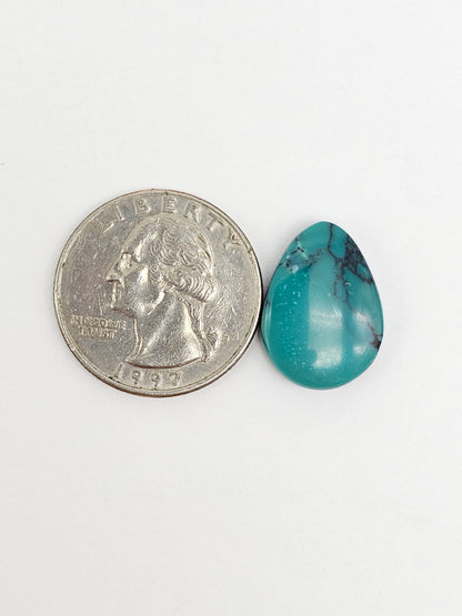 Cloud mountain Turquoise