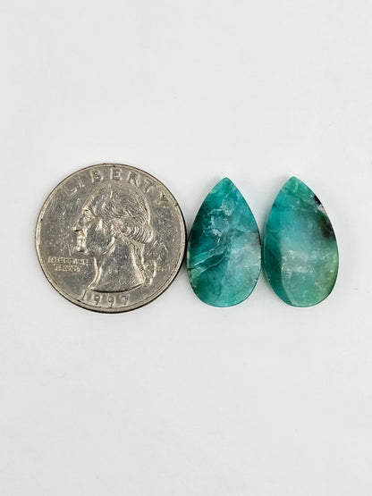 Blue Opal Petrified Wood Cabochon Pair