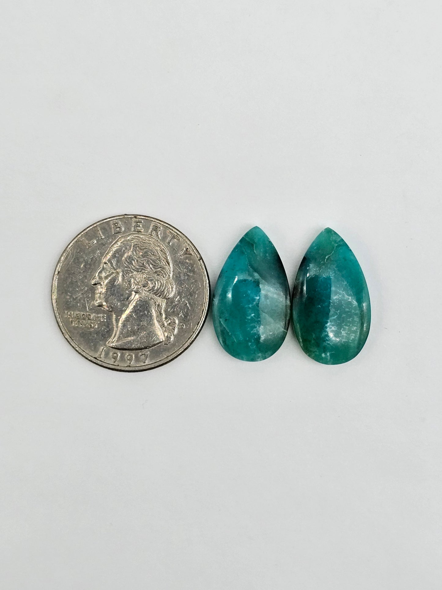 Blue Opal Petrified Wood Cabochon Pair