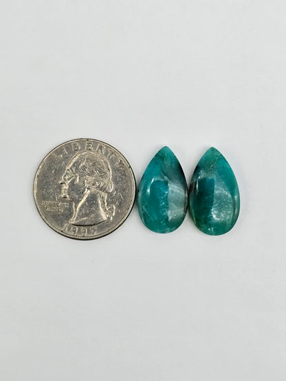 Blue Opal Petrified Wood Cabochon Pair